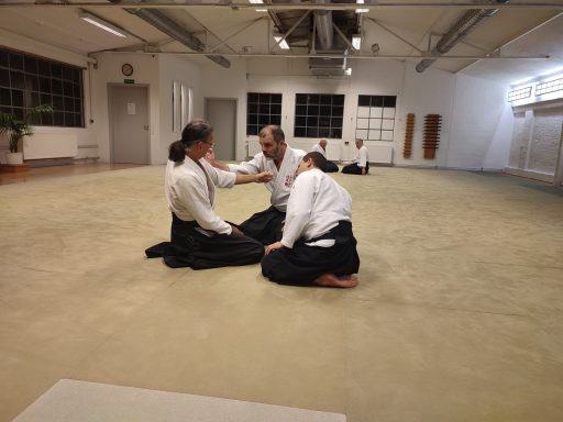 Training im Aikido Dojo München
