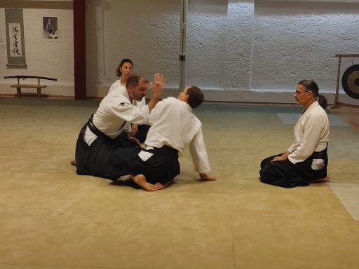 Training im Aikido Dojo München