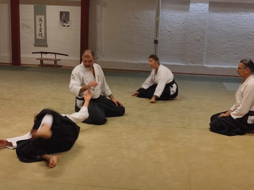 Training im Aikido Dojo München